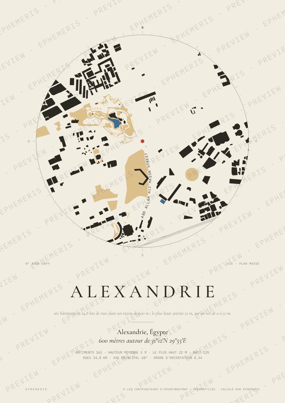 Affiche carte de Alexandrie : la ville dessinée en plan
