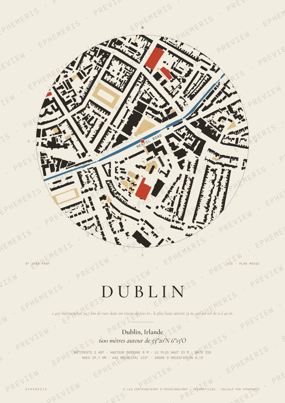 Affiche carte de Dublin : la ville dessinée en plan