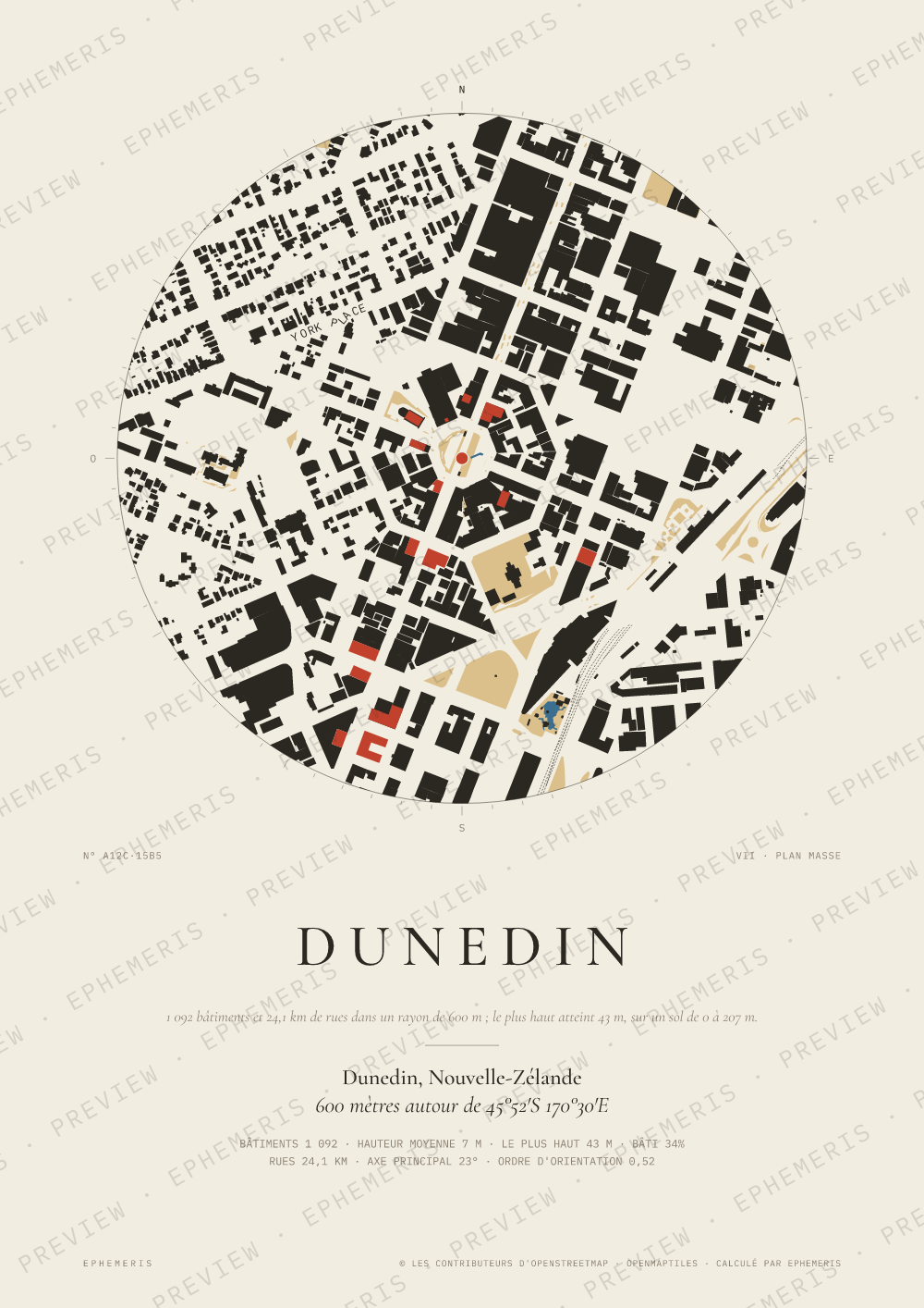 Affiche carte de Dunedin : la ville dessinée en plan