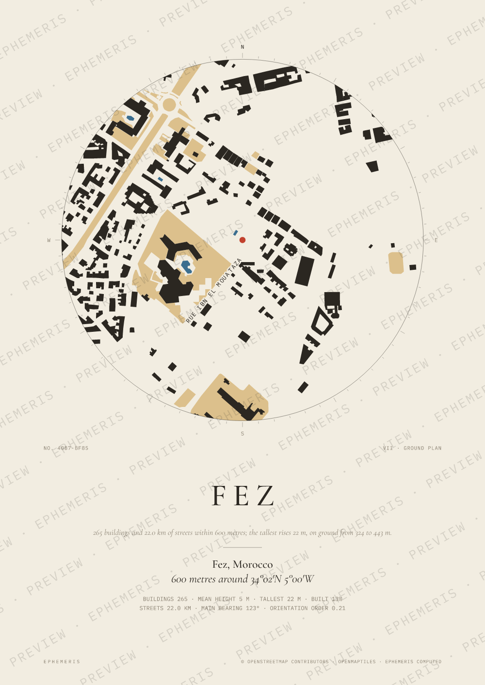 Fez map poster: the city drawn as a plan