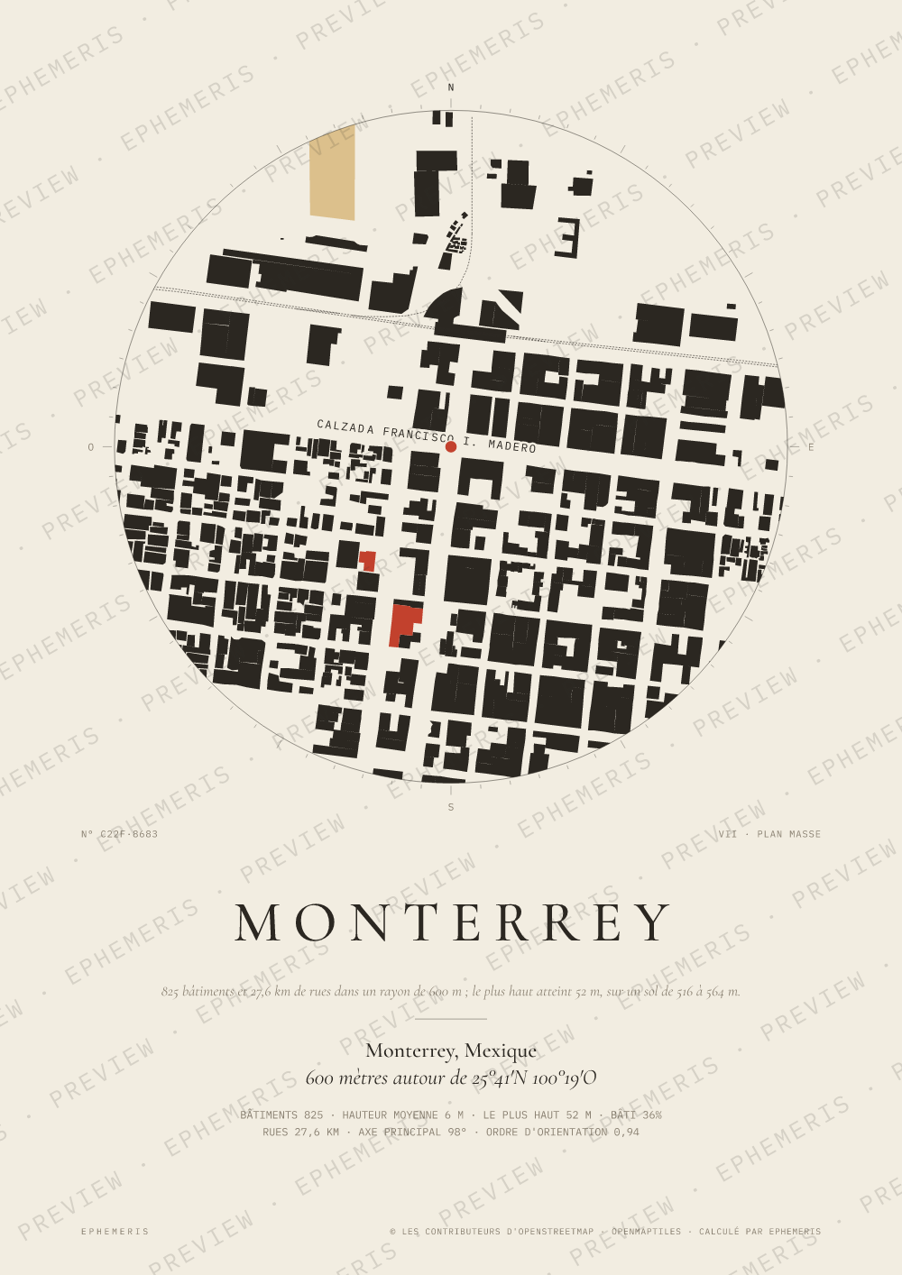 Affiche carte de Monterrey : la ville dessinée en plan