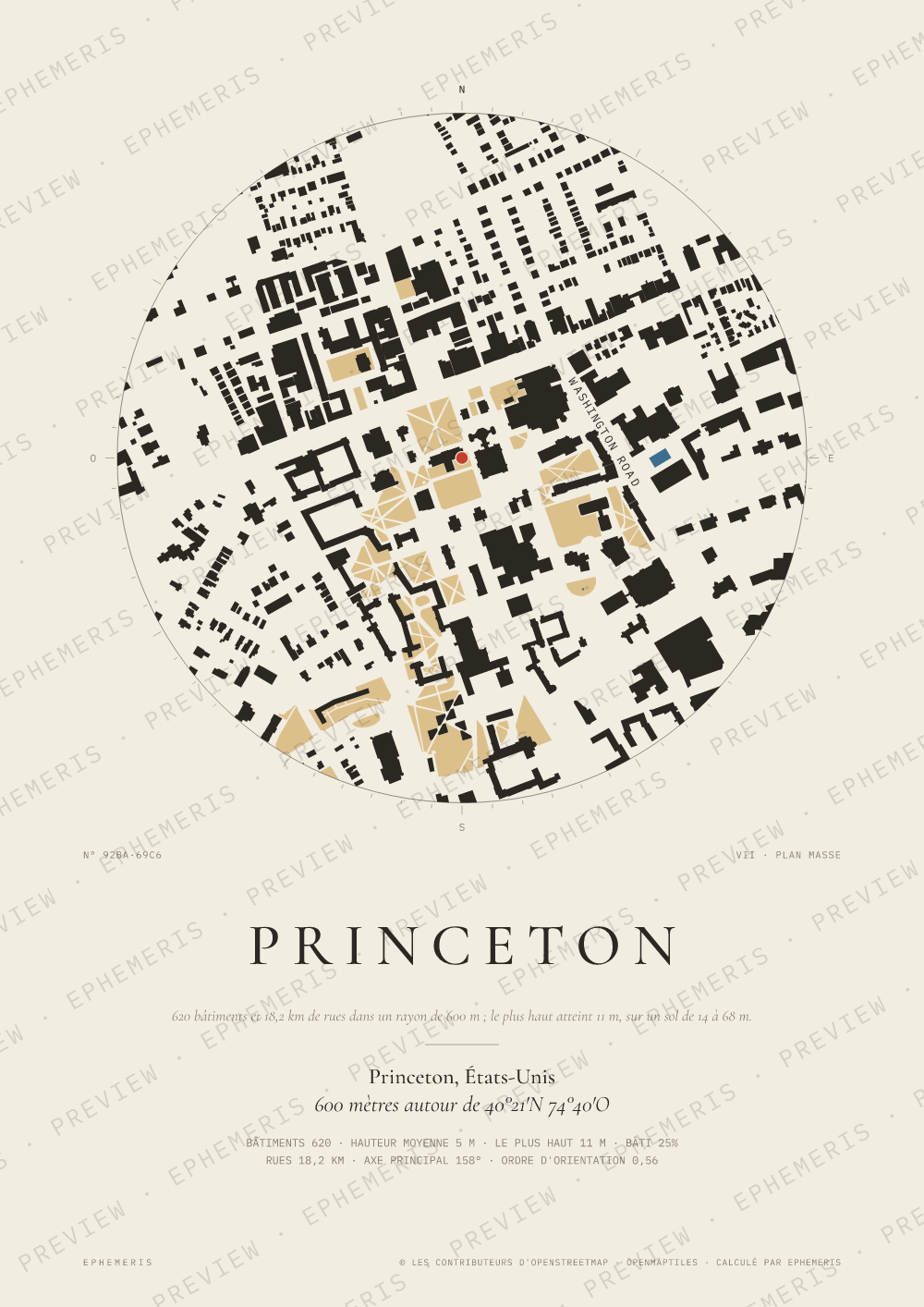 Affiche carte de Princeton : la ville dessinée en plan