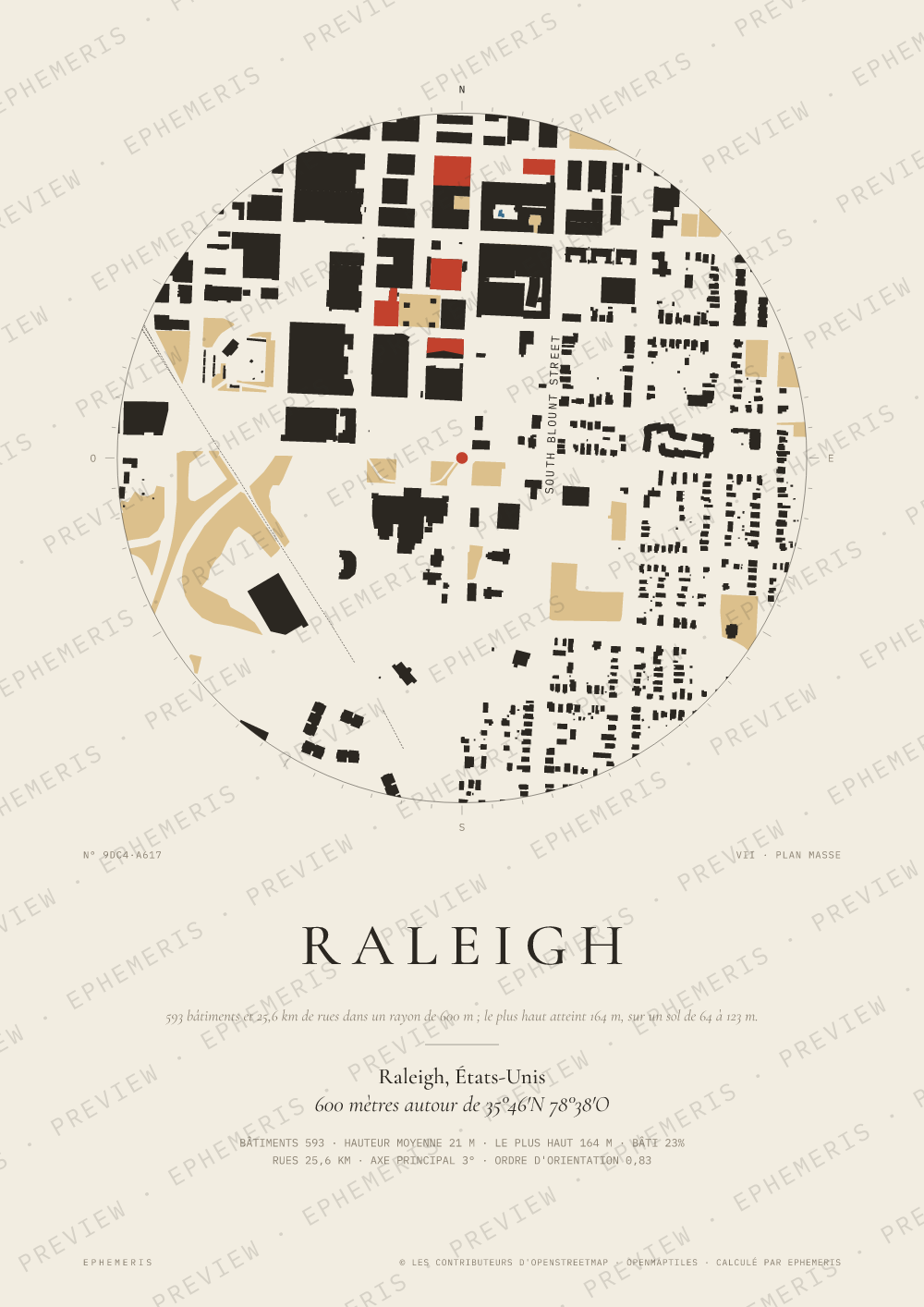 Affiche carte de Raleigh : la ville dessinée en plan