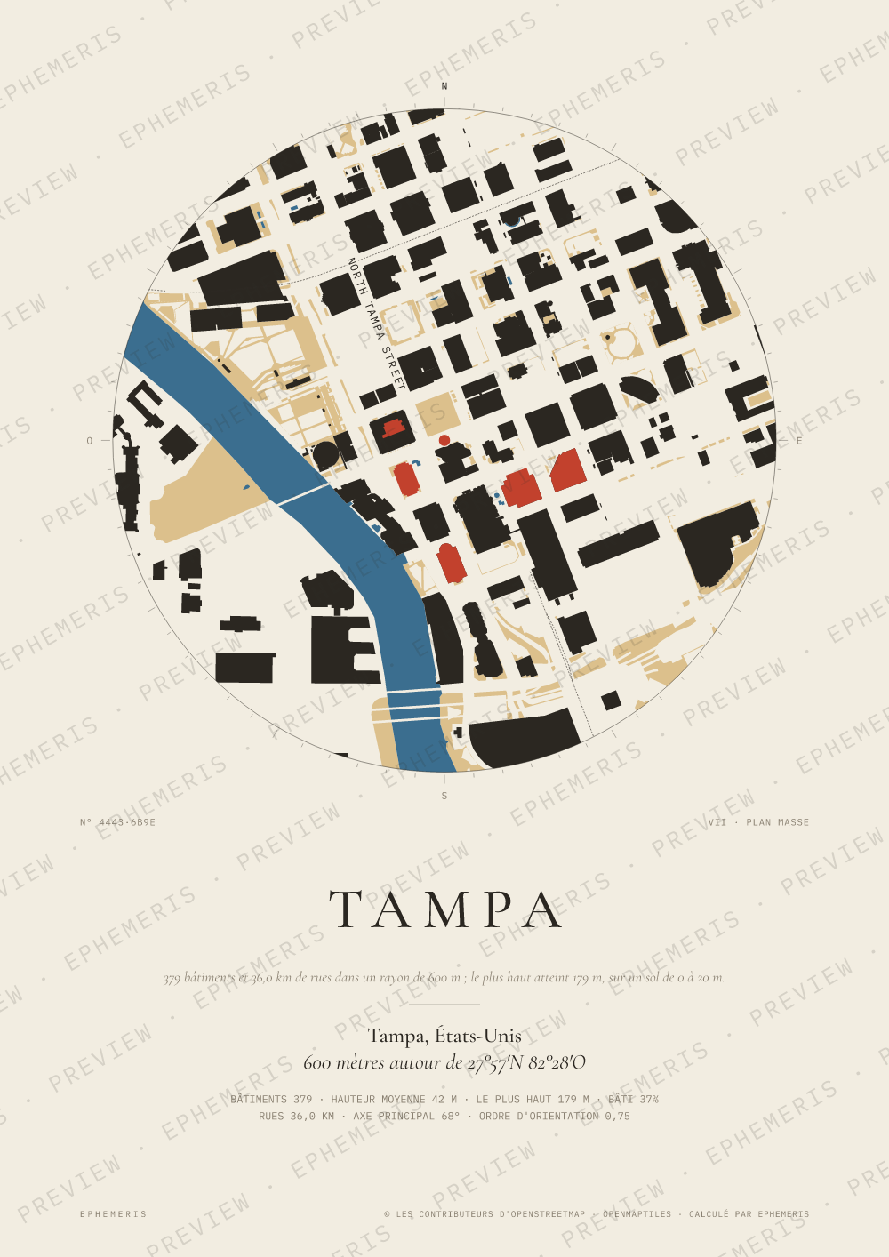 Affiche carte de Tampa : la ville dessinée en plan