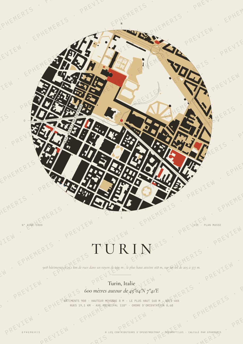 Affiche carte de Turin : la ville dessinée en plan
