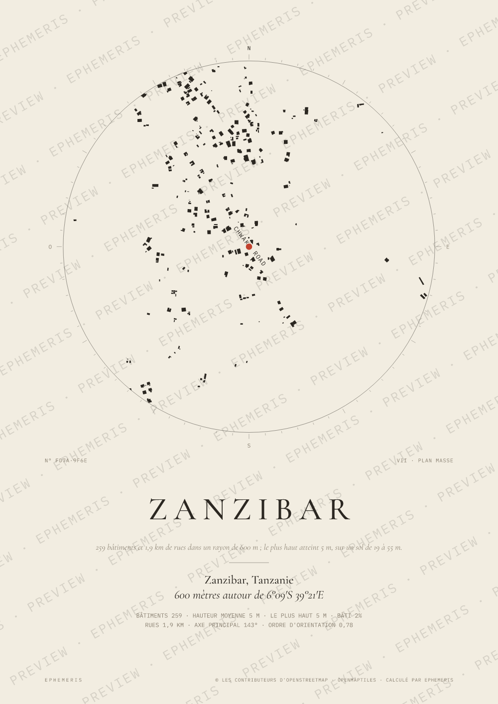 Affiche carte de Zanzibar : la ville dessinée en plan